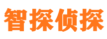 三亚市调查公司